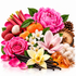 A vibrant botanical and floral arrangement on a white background, featuring bright pink peony and rose blooms, a large pale pink magnolia, a yellow orchid, white blossoms, vanilla beans, an orange, pink rhubarb stalks, lychee fruits, cotton boll, and a small pinecone.