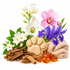 A styled arrangement of spa-like ingredients and accessories on a white background: white lilies, a pink orchid, purple irises, brown bark pieces, small wood sticks, amber-colored stones, and a beige paw-shaped soap or bath bomb with a folded beige towel beside it.
