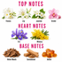 A fragrance notes chart on a white background with pink headings reading TOP NOTES, HEART NOTES, and BASE NOTES. Top notes shown are freesia, lily, jasmine, and orchid; heart notes are iris and mimosa; base notes are velvet woods, sandalwood, and amber.
