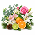 A festive floral and fruit arrangement on a white background, featuring a pink rose, pink and white lilies, green eucalyptus leaves, pine branches, a pinecone, a whole orange, a sliced orange, and a lime half.
