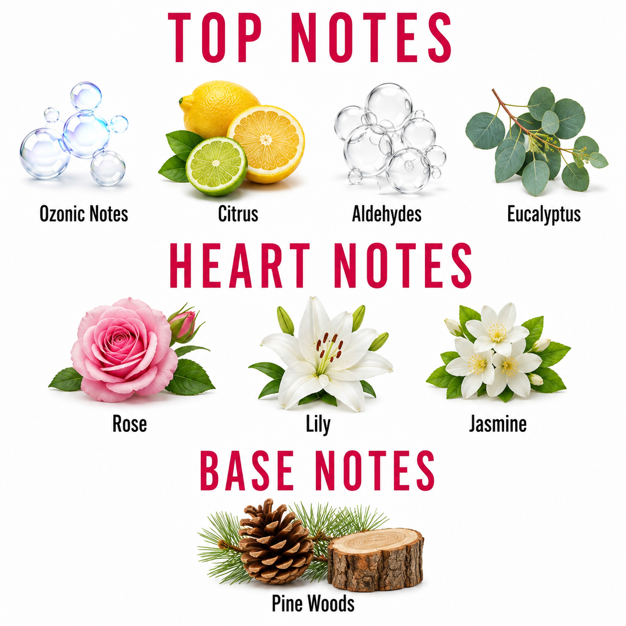 A fragrance notes chart on a white background with red headers reading 'TOP NOTES', 'HEART NOTES', and 'BASE NOTES'. Top notes shown include ozonic notes, citrus, aldehydes, and eucalyptus.