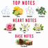 A fragrance notes chart on a white background with red headers reading 'TOP NOTES', 'HEART NOTES', and 'BASE NOTES'. Top notes shown include ozonic notes, citrus, aldehydes, and eucalyptus.