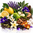A styled botanical still life featuring purple lavender, yellow lemons, a green apple, white flowers, vanilla beans, pinecones, cinnamon sticks, green beans, peppercorns, and glowing amber orbs on a white reflective surface.