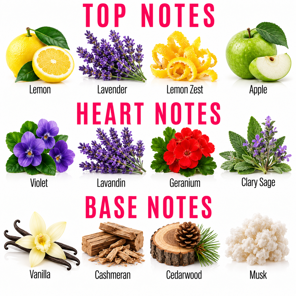 A fragrance notes chart on a white background with pink headers reading TOP NOTES, HEART NOTES, and BASE NOTES. The chart shows illustrated botanicals and foods labeled Lemon, Lavender, Lemon Zest, Apple, Violet, Lavandin, Geranium, Clary Sage, Vanilla, Cashmeran, Cedarwood, and Musk.