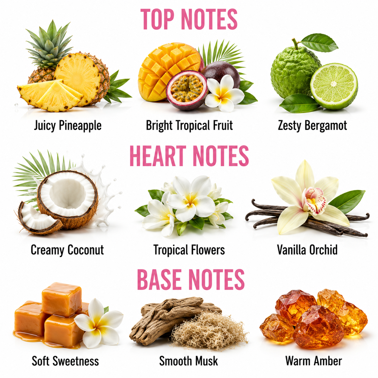 A fragrance notes graphic with three labeled sections: TOP NOTES, HEART NOTES, and BASE NOTES. Each section shows a fruit or flower illustration with a scent name underneath, including Juicy Pineapple, Bright Tropical Fruit, Zesty Bergamot, Creamy Coconut, Tropical Flowers, Vanilla Orchid, Soft Sweetness, Smooth Musk, and Warm Amber.