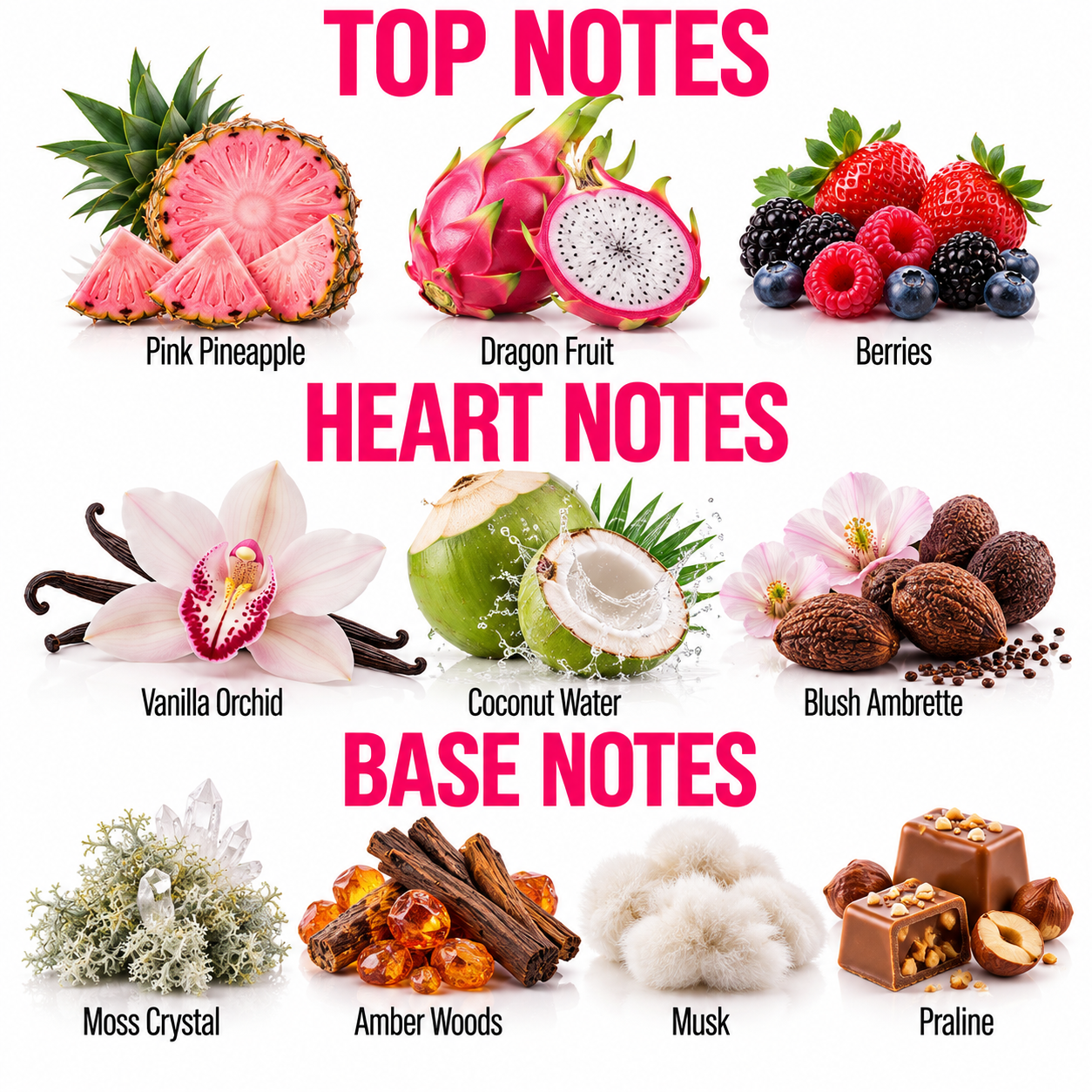 A fragrance notes graphic titled 'TOP NOTES', 'HEART NOTES', and 'BASE NOTES' showing illustrated fruits and botanicals: pink pineapple, dragon fruit, berries, vanilla orchid, coconut water, blush ambrette, moss crystal, amber woods, musk, and praline. Bold pink text labels each category on a white background.