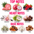 A fragrance notes graphic titled 'TOP NOTES', 'HEART NOTES', and 'BASE NOTES' showing illustrated fruits and botanicals: pink pineapple, dragon fruit, berries, vanilla orchid, coconut water, blush ambrette, moss crystal, amber woods, musk, and praline. Bold pink text labels each category on a white background.