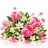 A vibrant floral arrangement featuring pink peony-like blossoms, white blossoms with yellow centers, and green leaves, accented by scattered pink petals on a clean white background.