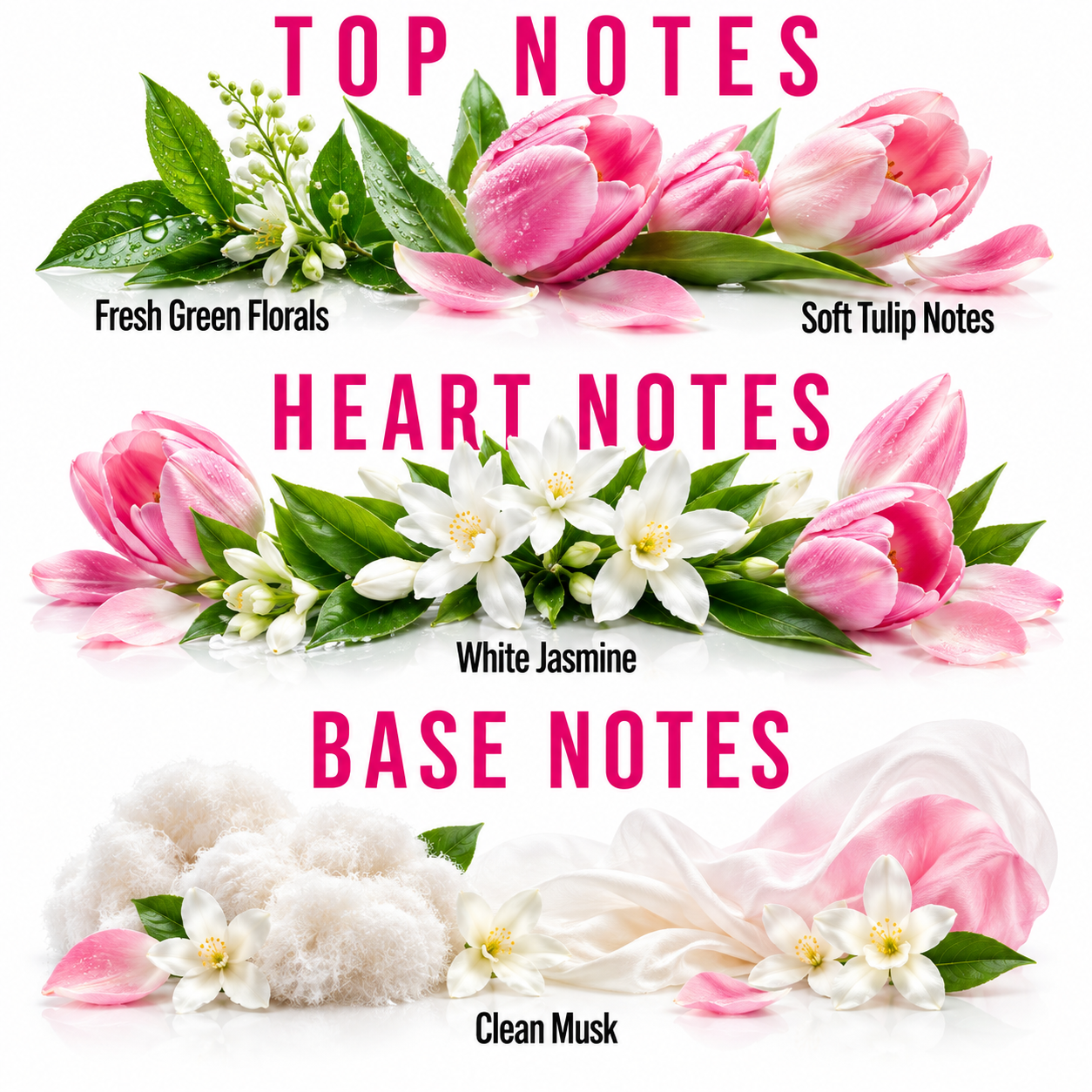A fragrance notes graphic on a white background with pink text reading 'TOP NOTES', 'HEART NOTES', and 'BASE NOTES'. The top section shows pink tulips and green leaves labeled 'Fresh Green Florals' and 'Soft Tulip Notes'.