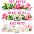 A fragrance notes graphic on a white background with pink text reading 'TOP NOTES', 'HEART NOTES', and 'BASE NOTES'. The top section shows pink tulips and green leaves labeled 'Fresh Green Florals' and 'Soft Tulip Notes'.