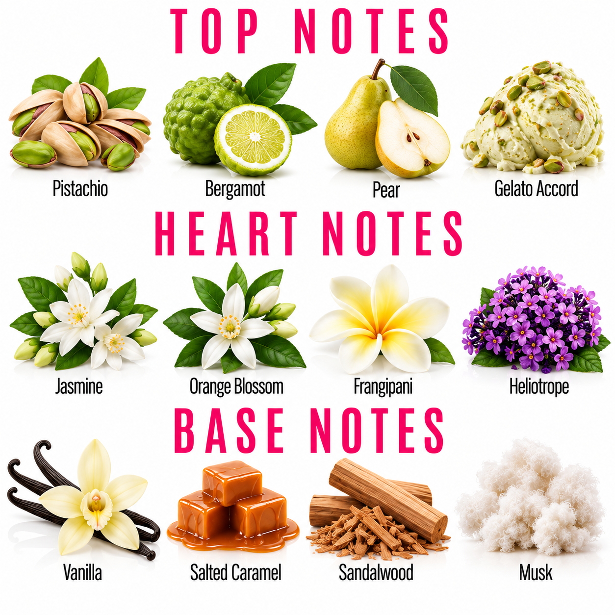 A fragrance notes graphic titled with TOP NOTES, HEART NOTES, and BASE NOTES. It shows illustrated or photographed scent ingredients labeled Pistachio, Bergamot, Pear, Gelato Accord, Jasmine, Orange Blossom, Frangipani, Heliotrope, Vanilla, Salted Caramel, Sandalwood, and Musk on a white background.