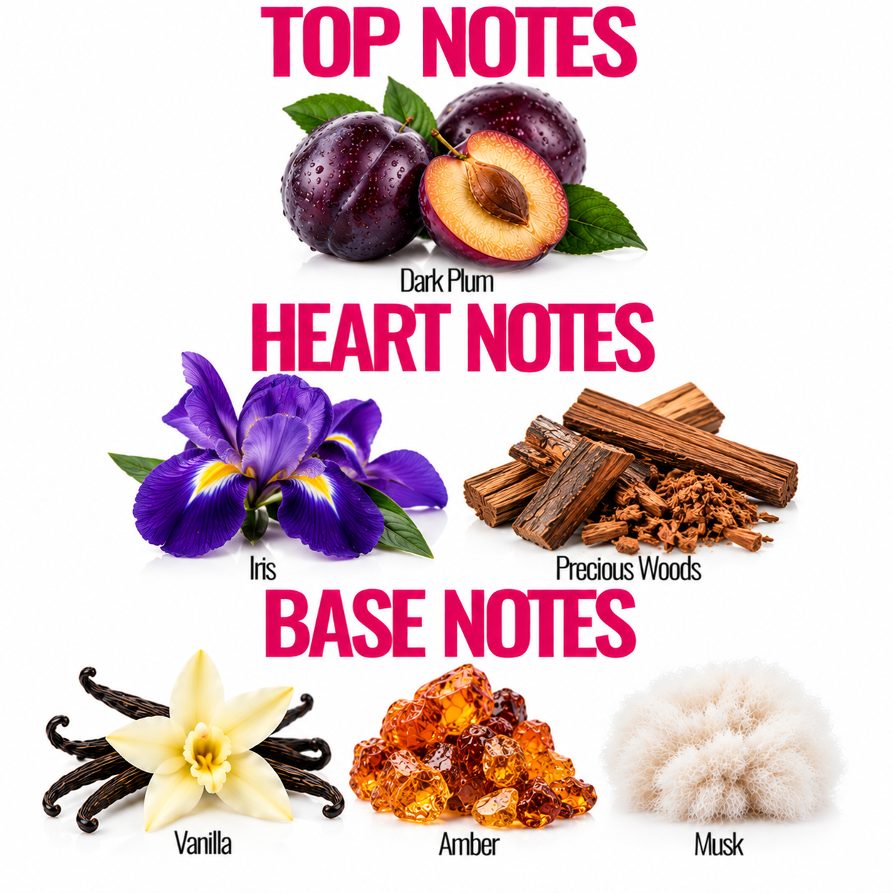 A fragrance notes graphic on a white background with pink text reading 'TOP NOTES', 'HEART NOTES', and 'BASE NOTES'. It shows dark plums, purple iris flowers, wood chips, vanilla beans, amber crystals, and a white fluffy texture labeled Vanilla, Iris, Precious Woods, and Musk.