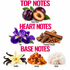 A fragrance notes graphic on a white background with pink text reading 'TOP NOTES', 'HEART NOTES', and 'BASE NOTES'. It shows dark plums, purple iris flowers, wood chips, vanilla beans, amber crystals, and a white fluffy texture labeled Vanilla, Iris, Precious Woods, and Musk.
