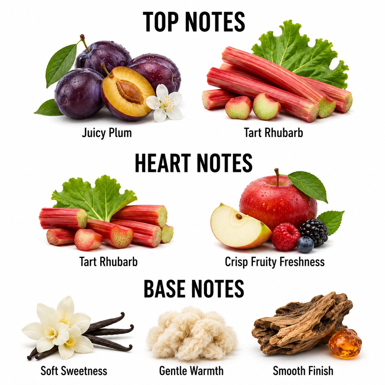 A fragrance notes infographic on a white background, divided into Top Notes, Heart Notes, and Base Notes. The Top Notes section features Juicy Plum (plums) and Tart Rhubarb (rhubarb stalks).