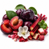 A styled fruit arrangement on a white background featuring dark purple plums, sliced red plums, pinkish-red rhubarb stalks, green leaves, a white blossom, and small pink buds.