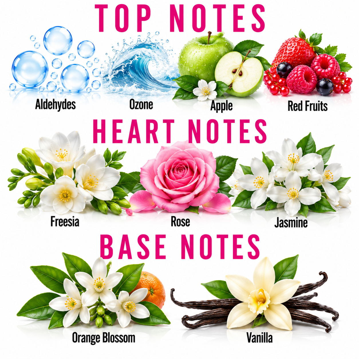 A fragrance notes chart titled 'TOP NOTES', 'HEART NOTES', and 'BASE NOTES' with illustrated scent ingredients: aldehydes, ozone, apple, red fruits, freesia, rose, jasmine, orange blossom, and vanilla.