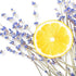 Reed Diffuser Pre Mixed Ready Made Scented Oil Lemon Lavender - FizzyWhiz