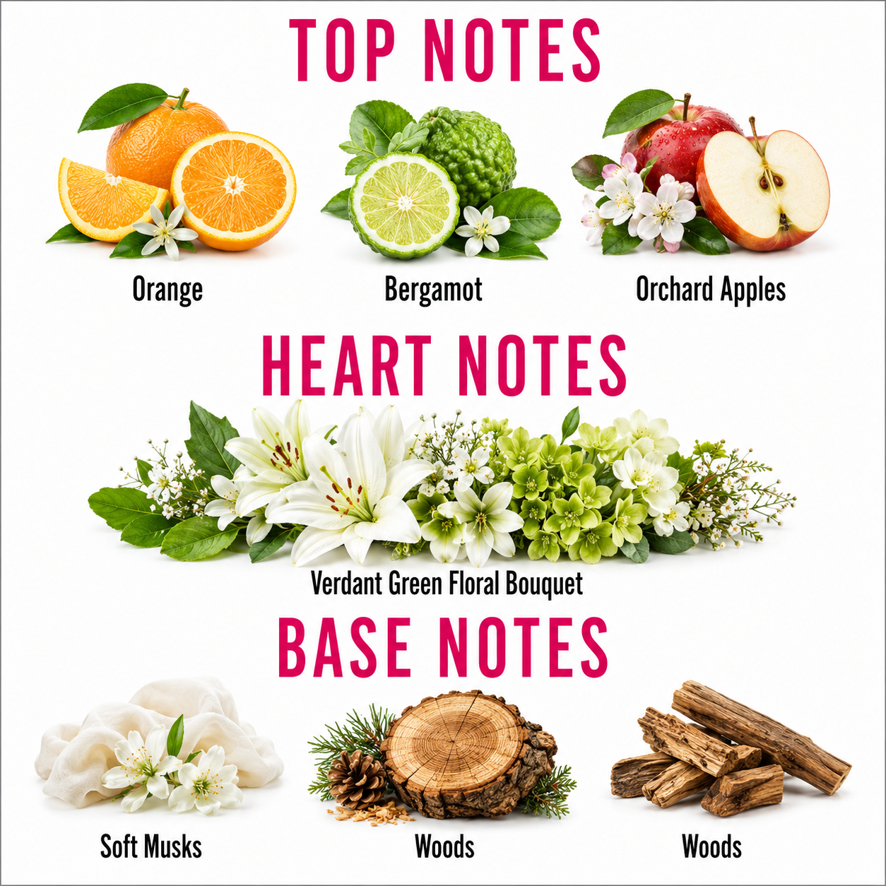 A fragrance notes graphic on a white background with pink headers reading TOP NOTES, HEART NOTES, and BASE NOTES. Top notes show oranges, bergamot, and orchid apples with flowers.