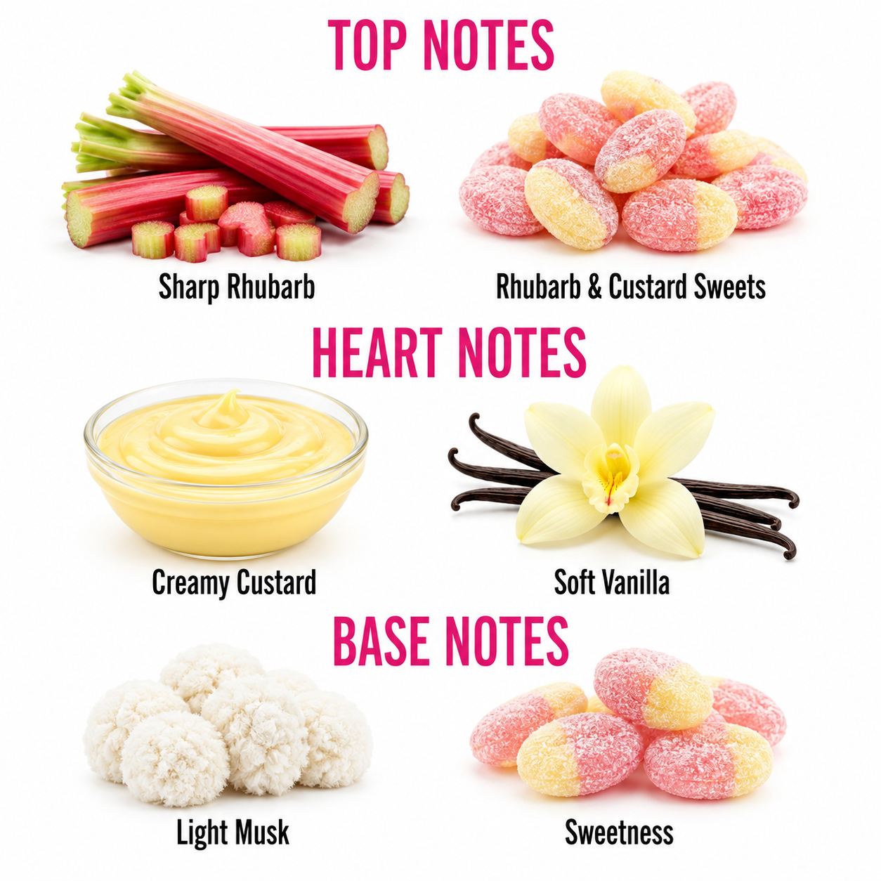 A fragrance notes graphic with six labeled scent ingredients arranged in three sections: Top Notes showing sharp rhubarb and rhubarb & custard sweets, Heart Notes showing creamy custard and soft vanilla, and Base Notes showing light musk and sweetness.