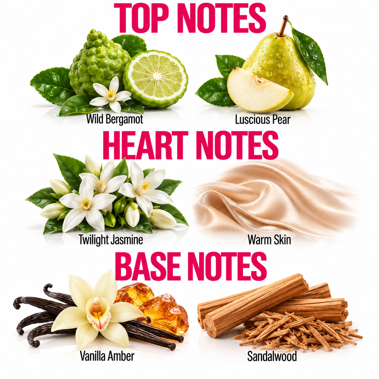 A fragrance notes graphic with the headings TOP NOTES, HEART NOTES, and BASE NOTES on a white background. Top notes shown are Wild Bergamot, Luscious Pear, Twilight Jasmine, and Warm Skin with corresponding illustrations.