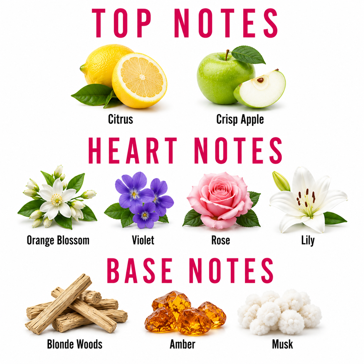 A fragrance notes chart on a white background with pink text reading TOP NOTES, HEART NOTES, and BASE NOTES. Top notes include citrus, crisp apple, orange blossom, violet, rose, and lily with small flower and fruit photos.