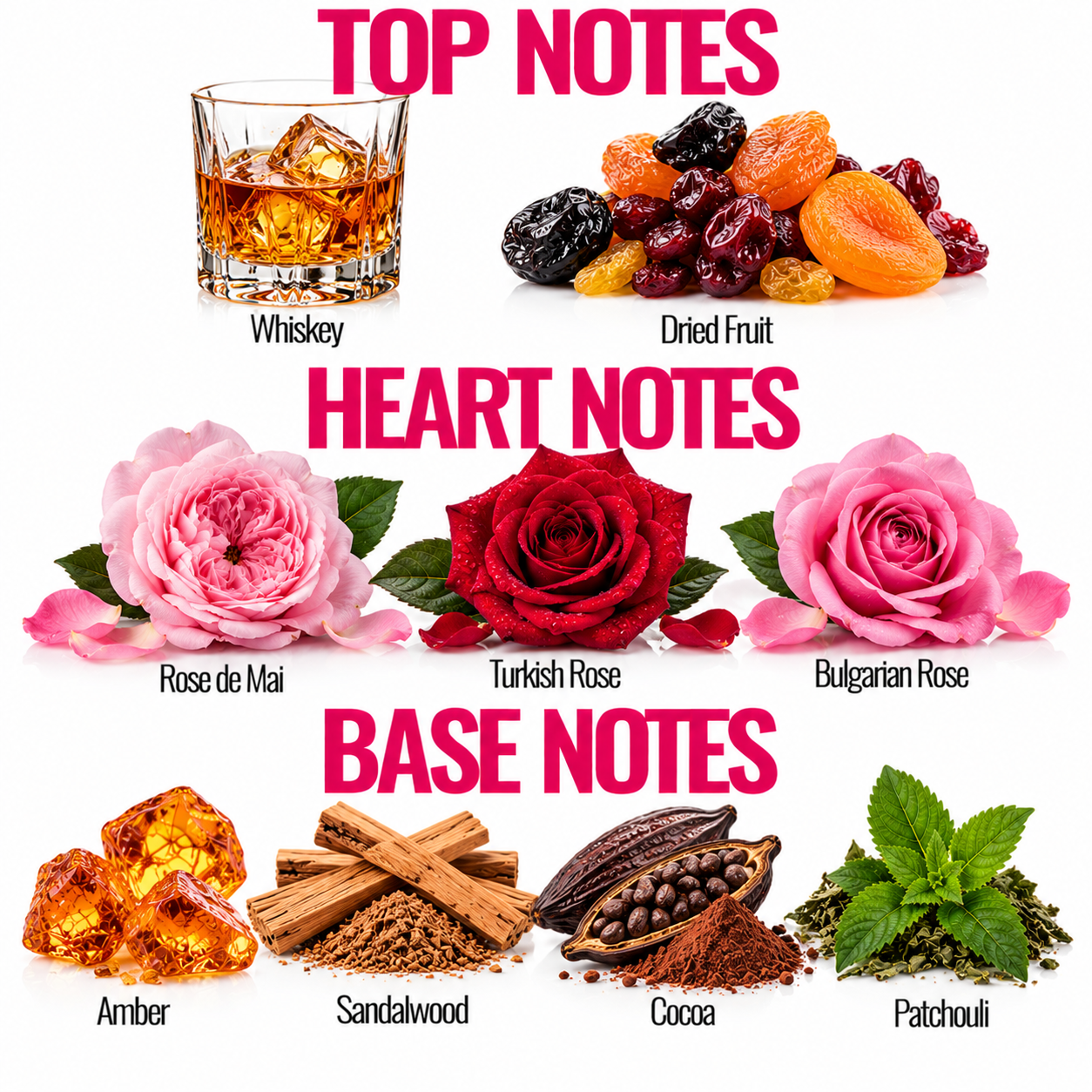 A fragrance composition graphic labeled 'TOP NOTES', 'HEART NOTES', and 'BASE NOTES' on a white background. Top notes include a whiskey glass and dried fruit; heart notes include three roses (Rose de Mai, Turkish Rose, Bulgarian Rose); base notes include amber, sandalwood, cocoa, and patchouli.
