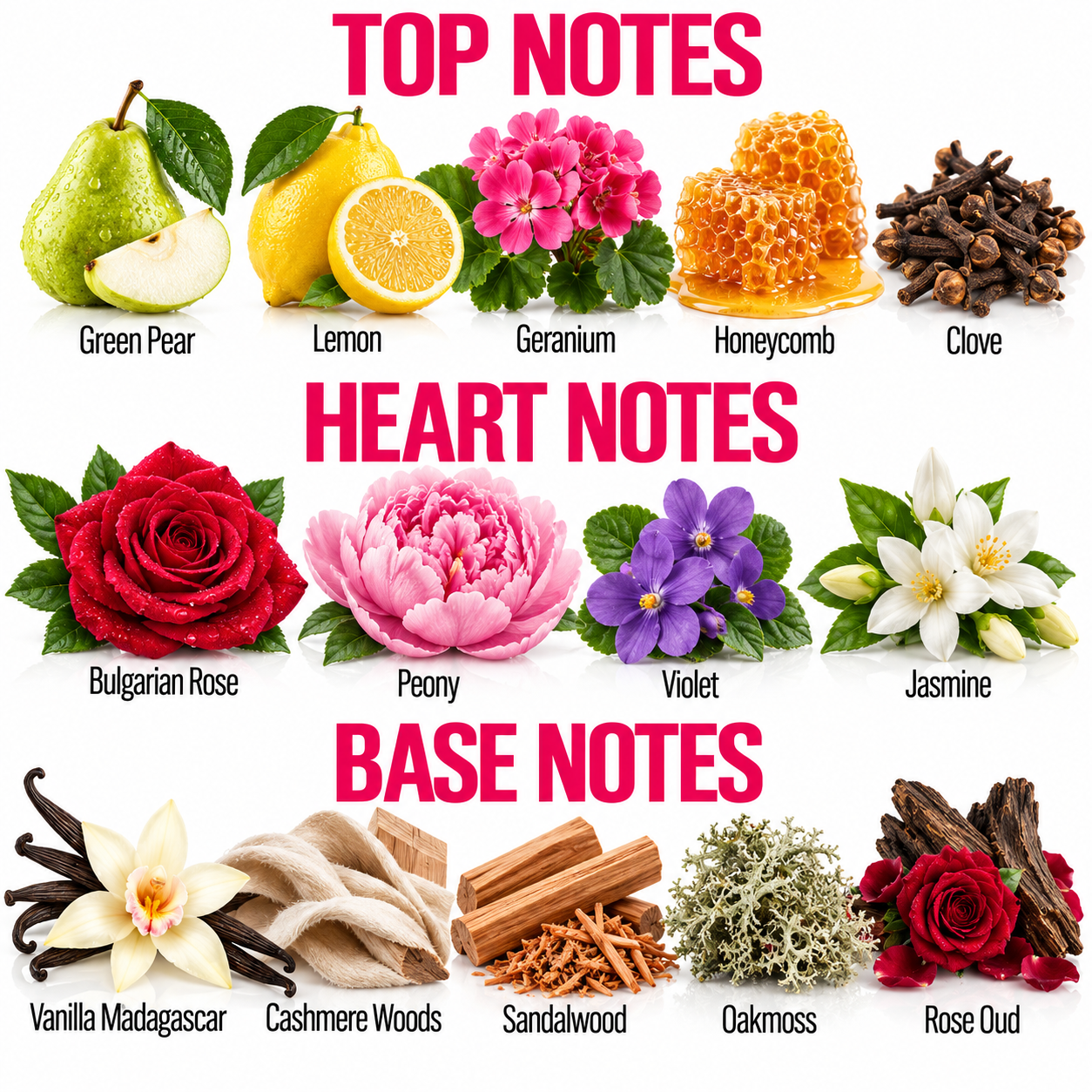 A botanical fragrance notes chart with labeled illustrations of ingredients. The top section reads TOP NOTES and shows green pear, lemon, geranium, honeycomb, and cloves.