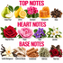 A botanical fragrance notes chart with labeled illustrations of ingredients. The top section reads TOP NOTES and shows green pear, lemon, geranium, honeycomb, and cloves.