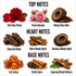 A fragrance notes graphic on a white background with three labeled sections: Top Notes, Heart Notes, and Base Notes. Visual cues include rose petals and flowers for rose notes, wood slices and cinnamon sticks for woody notes, amber pieces and spices for base notes.