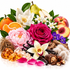 A colorful still life arrangement of flowers, fruits, chocolate, vanilla beans, crystals, and natural elements on a white background. Visible items include a large pink peony, a magenta rose, white orchid flowers, purple blossoms, sliced oranges, pears, peaches, vanilla beans, chocolate pieces, nuts, bark, moss, and amber-like crystals.