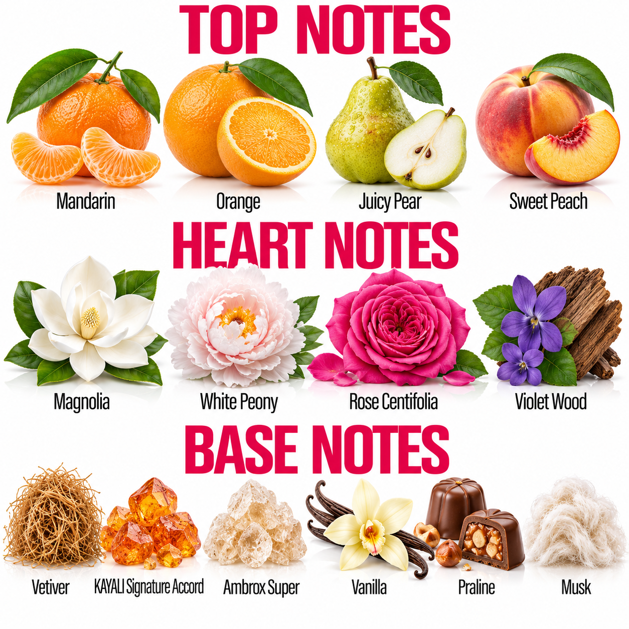 A fragrance notes graphic titled 'TOP NOTES', 'HEART NOTES', and 'BASE NOTES' with illustrated and photographed scent references: mandarin, orange, juicy pear, sweet peach, magnolia, white peony, rose centifolia, violet wood, vetiver, amber crystals, ambrox super, vanilla, praline, and musk.