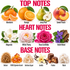 A fragrance notes graphic titled 'TOP NOTES', 'HEART NOTES', and 'BASE NOTES' with illustrated and photographed scent references: mandarin, orange, juicy pear, sweet peach, magnolia, white peony, rose centifolia, violet wood, vetiver, amber crystals, ambrox super, vanilla, praline, and musk.