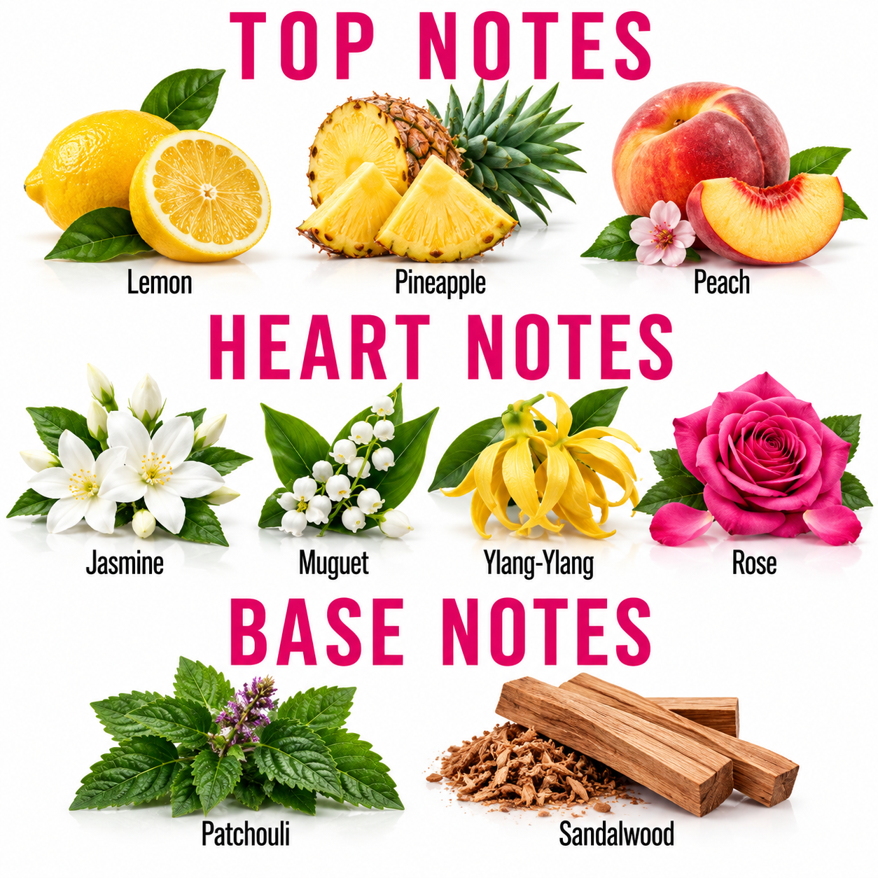 A fragrance notes graphic with fruit and flower illustrations labeled for top and heart notes, plus base notes, on a white background. Visible text includes Lemon, Pineapple, Peach, Jasmine, Muguet, Yang-Yang, Rose, Patchouli, and Sandalwood.
