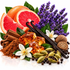 A styled botanical arrangement of whole and sliced grapefruit, purple lavender flowers, cinnamon sticks, vanilla beans, amber resin blocks, white flowers, green cardamom pods, and dark peppercorns on a white background.