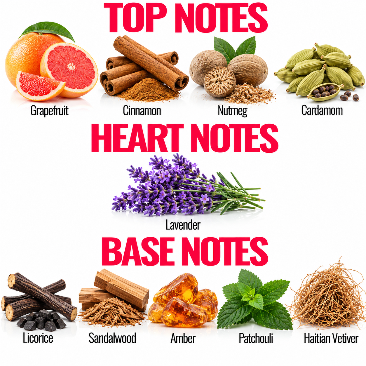 An infographic-style note chart with the headings TOP NOTES, HEART NOTES, and BASE NOTES. The top notes section shows grapefruit, cinnamon, nutmeg, and cardamom with red, brown, beige, and green illustrations.