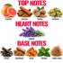 An infographic-style note chart with the headings TOP NOTES, HEART NOTES, and BASE NOTES. The top notes section shows grapefruit, cinnamon, nutmeg, and cardamom with red, brown, beige, and green illustrations.