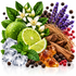 A styled botanical still life featuring green limes, a sliced lime wedge, mint leaves, purple lavender stems, white flowers, clear ice cubes, amber honey crystals, and dark brown bark on a white background.