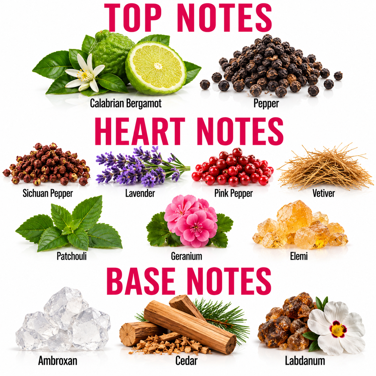 An infographic detailing the scent profile of a fragrance, categorized into 'TOP NOTES', 'HEART NOTES', and 'BASE NOTES' with corresponding ingredient illustrations and names on a white background.