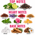 An infographic detailing the scent profile of a fragrance, categorized into 'TOP NOTES', 'HEART NOTES', and 'BASE NOTES' with corresponding ingredient illustrations and names on a white background.