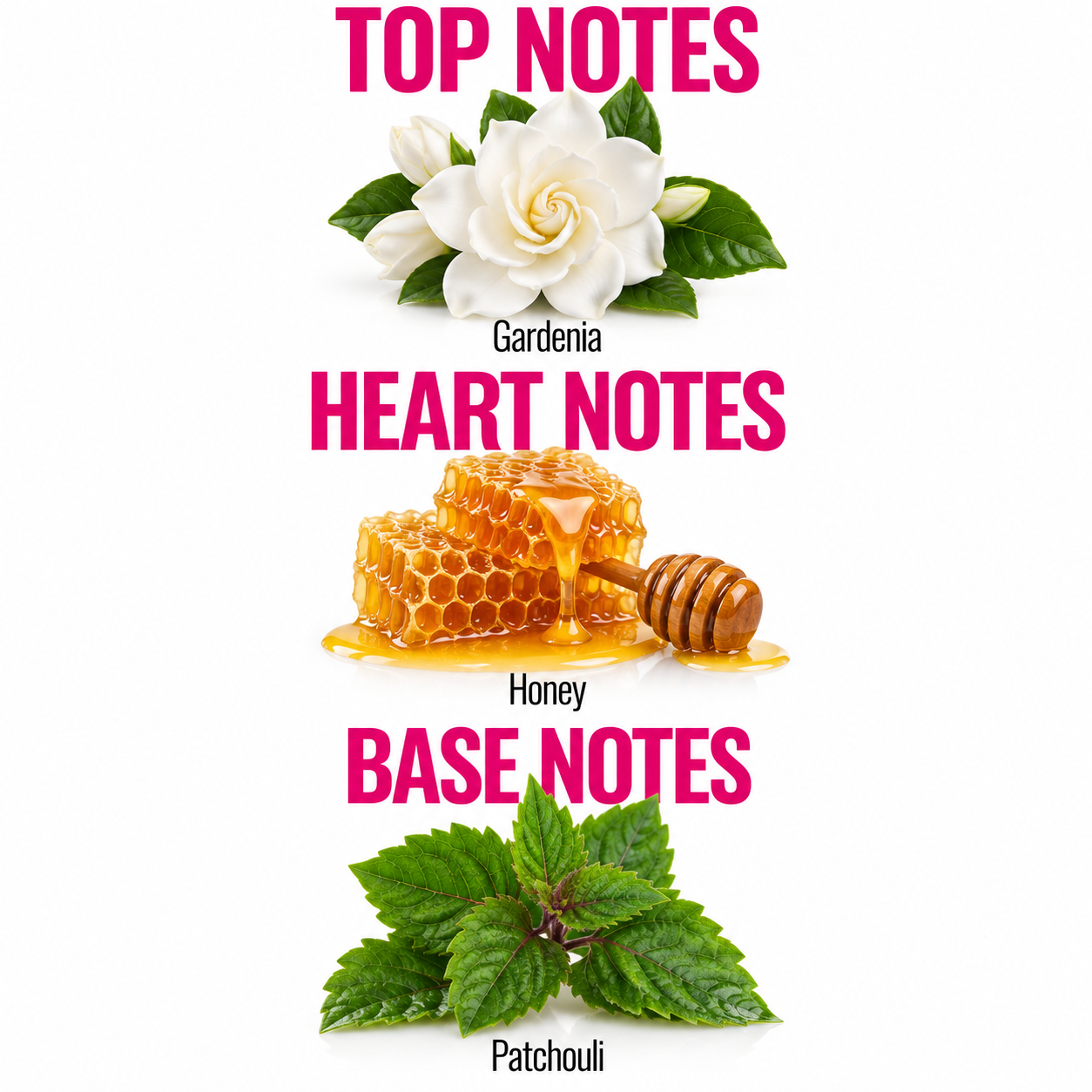 A fragrance notes graphic on a white background with bright pink text reading 'TOP NOTES', 'HEART NOTES', and 'BASE NOTES'. Top note shows white gardenia flowers with green leaves.