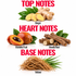 A botanical notes graphic showing ingredient clusters labeled Ginger, Maninka Fruit, Mondia Root, and Vetiver, arranged under the headings TOP NOTES, HEART NOTES, and BASE NOTES on a white background.