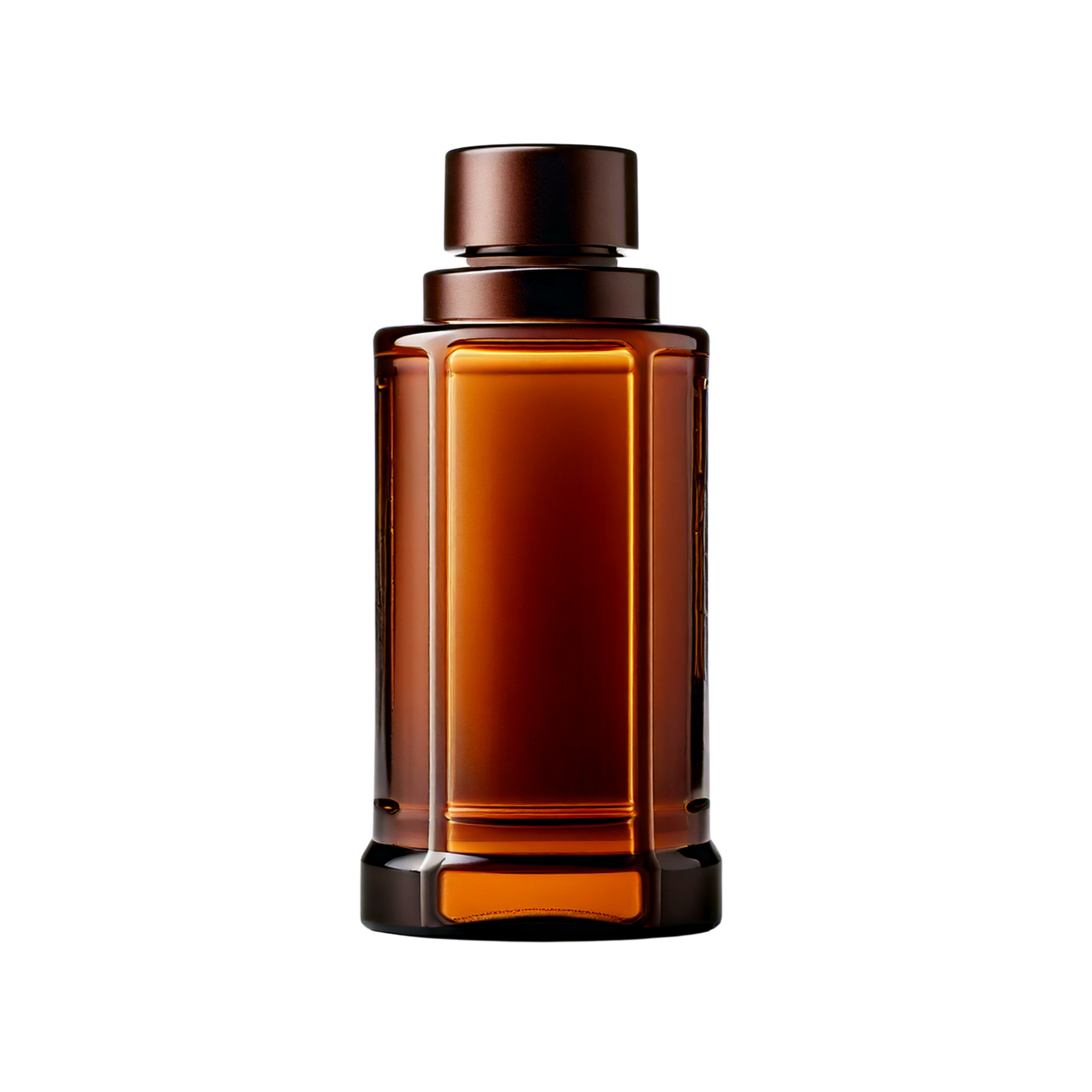 Scent Absolute Fragrance Oil – FizzyWhiz
