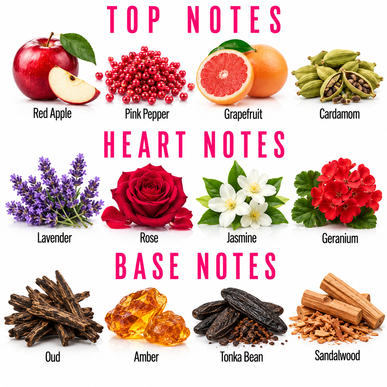 A fragrance notes chart showing top, heart, and base notes with labeled ingredients: red apple, pink pepper, grapefruit, cardamom, lavender, rose, jasmine, geranium, oud, amber, tonka bean, and sandalwood, on a white background.