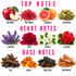 A fragrance notes chart showing top, heart, and base notes with labeled ingredients: red apple, pink pepper, grapefruit, cardamom, lavender, rose, jasmine, geranium, oud, amber, tonka bean, and sandalwood, on a white background.