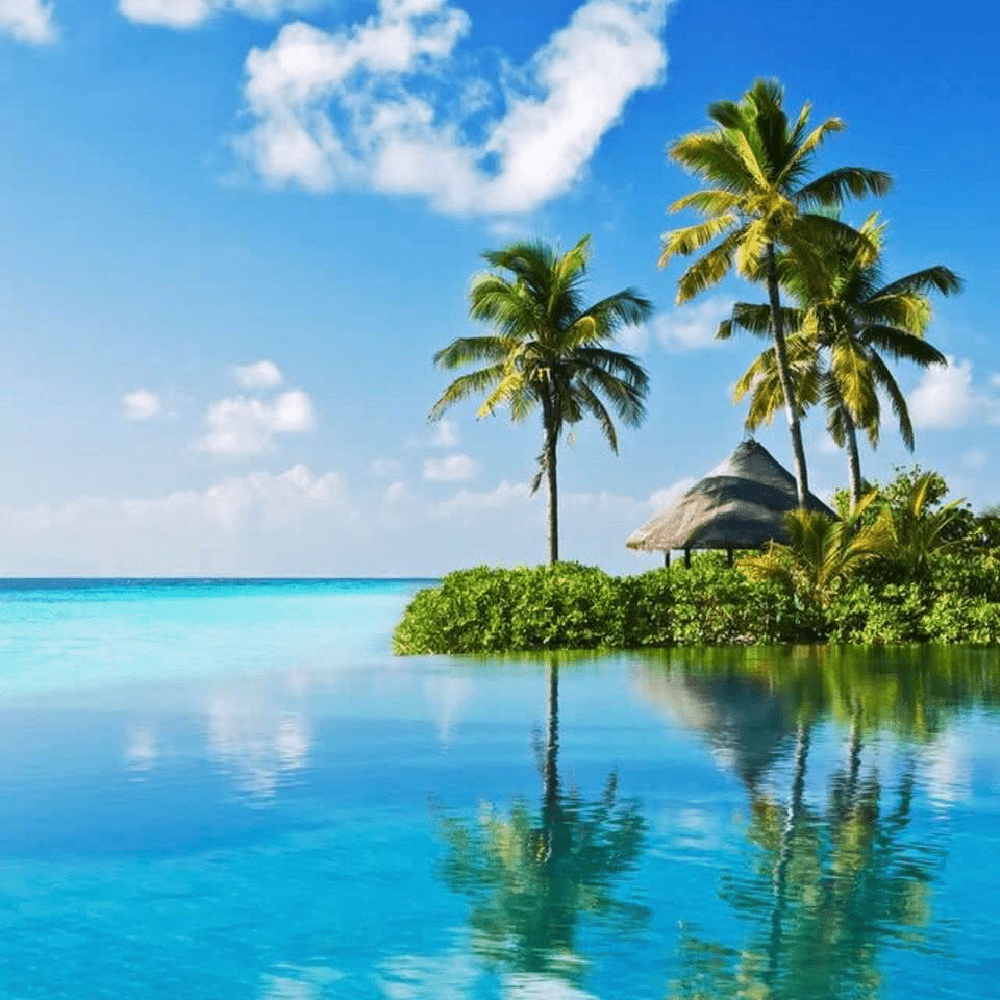 A tropical scene with palm trees and a clear blue sky reflecting in calm water, likely representing the scent of a sea breeze.