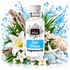 A bottle of Fizzy Whiz Sea Breeze Fragrance Oil centered against a white background with decorative tropical and ocean-themed props including blue water splashes, green leaves, white lilies, driftwood, seashells, and a starfish.