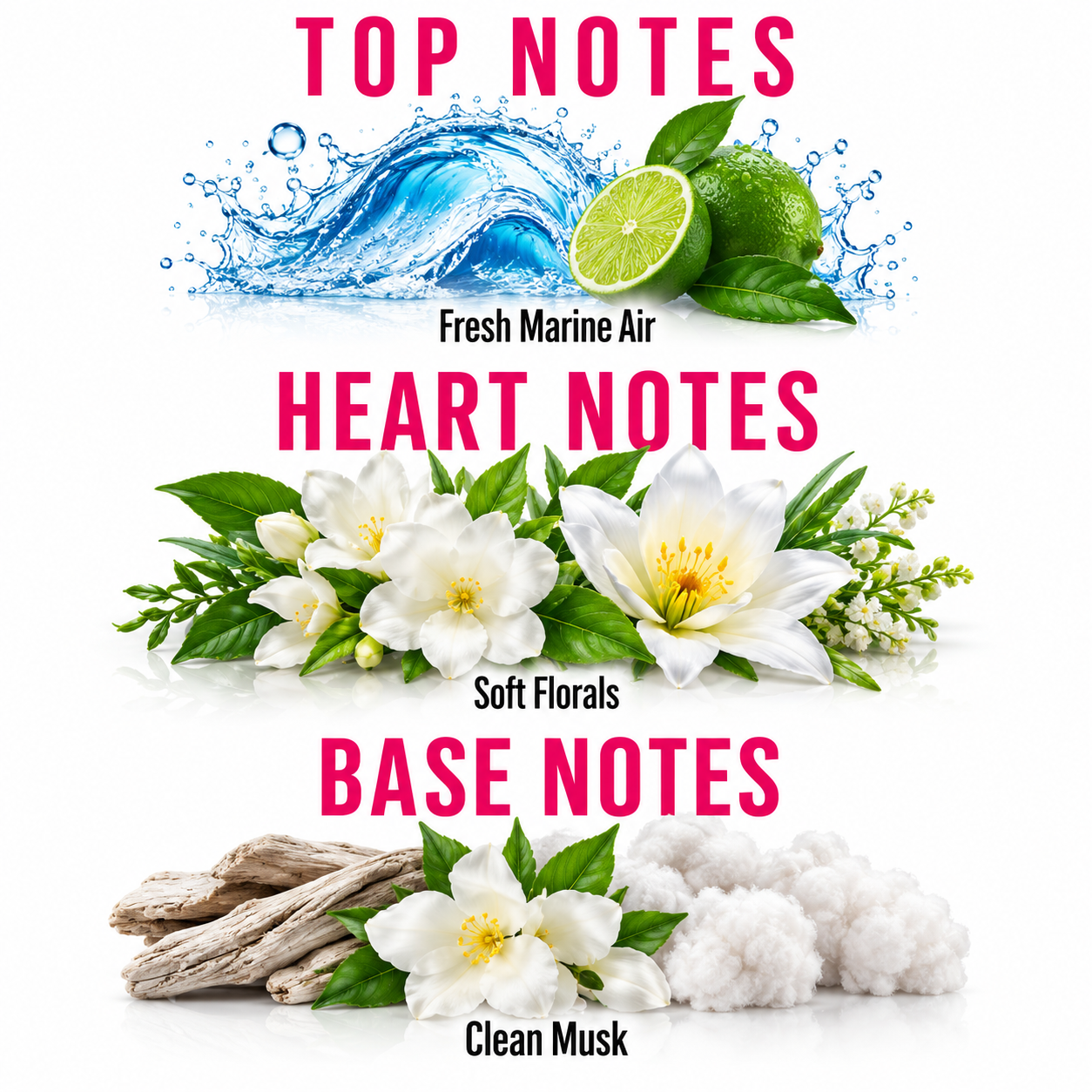 A fragrance scent guide graphic with three horizontal sections labeled TOP NOTES, HEART NOTES, and BASE NOTES in pink text. The top section shows a blue water splash with a lime half and green leaves, labeled Fresh Marine Air.