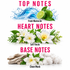 A fragrance scent guide graphic with three horizontal sections labeled TOP NOTES, HEART NOTES, and BASE NOTES in pink text. The top section shows a blue water splash with a lime half and green leaves, labeled Fresh Marine Air.