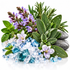A styled arrangement of green herbs and leaves, purple flowers, blue and clear crystal-like stones, and smooth gray stones on a white background.