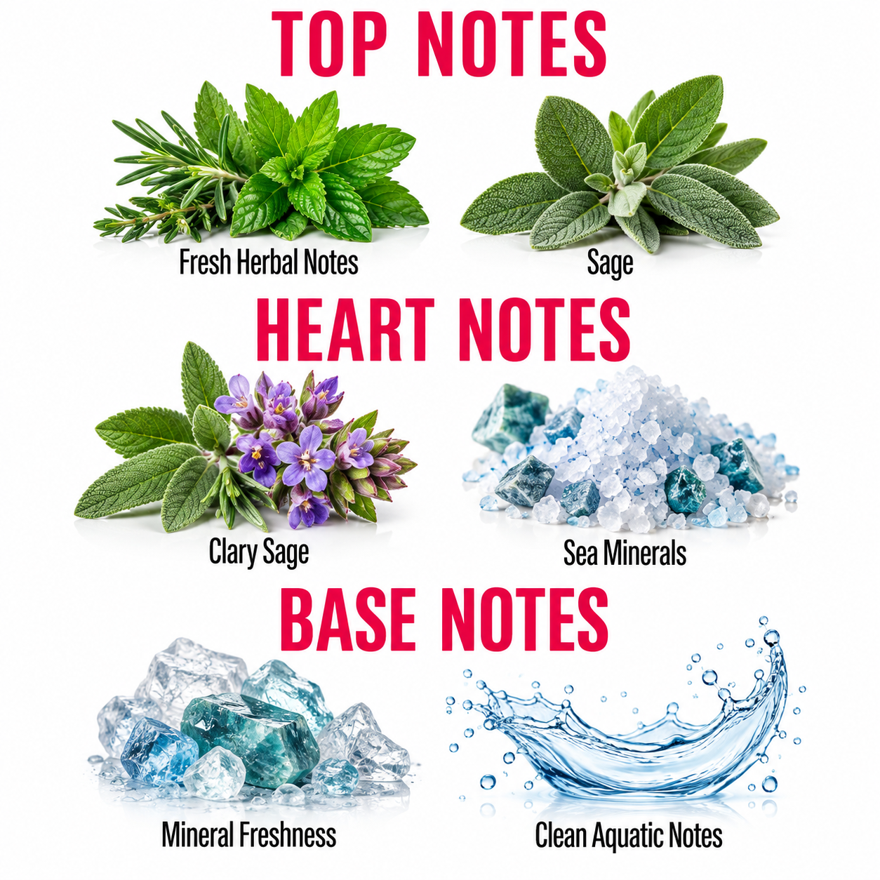 A fragrance notes graphic on a white background with red headers reading TOP NOTES, HEART NOTES, and BASE NOTES. Fresh Herbal Notes and Sage are shown at the top with green herbs; Clary Sage and Sea Minerals are shown at the middle with purple flowers and blue-white crystals; Mineral Freshness and Clean Aquatic Notes are shown at the bottom with ice-like blue crystals and water splash imagery.